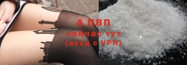гашик Россошь