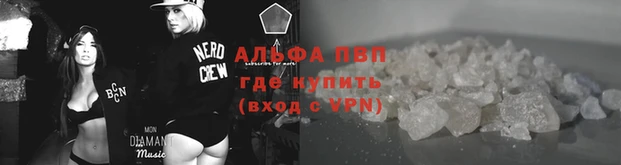 мяу мяу мука Абаза