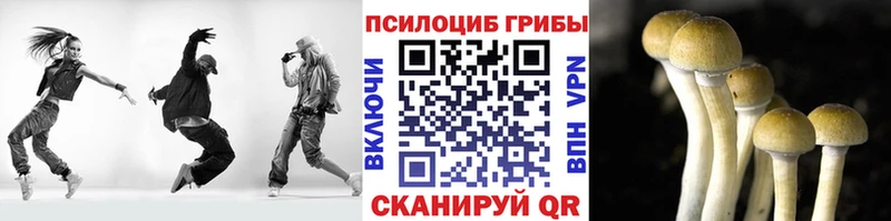 закладка  Тобольск  Галлюциногенные грибы GOLDEN TEACHER 