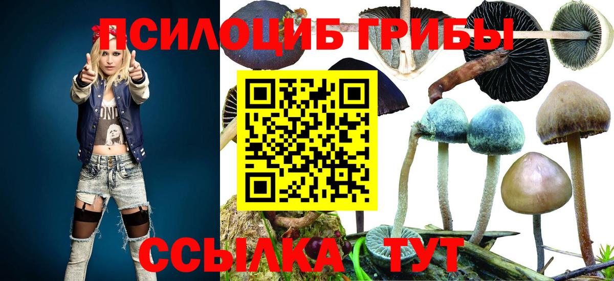 Тобольск  Галлюциногенные грибы MAGIC MUSHROOMS  Вход с VPN 