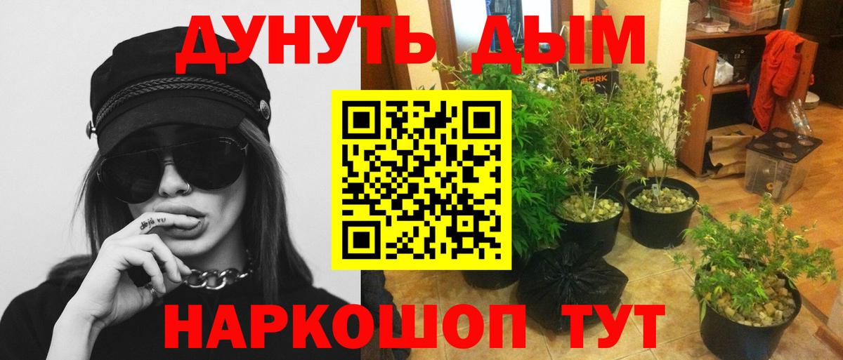 Бошки Шишки семена Тобольск